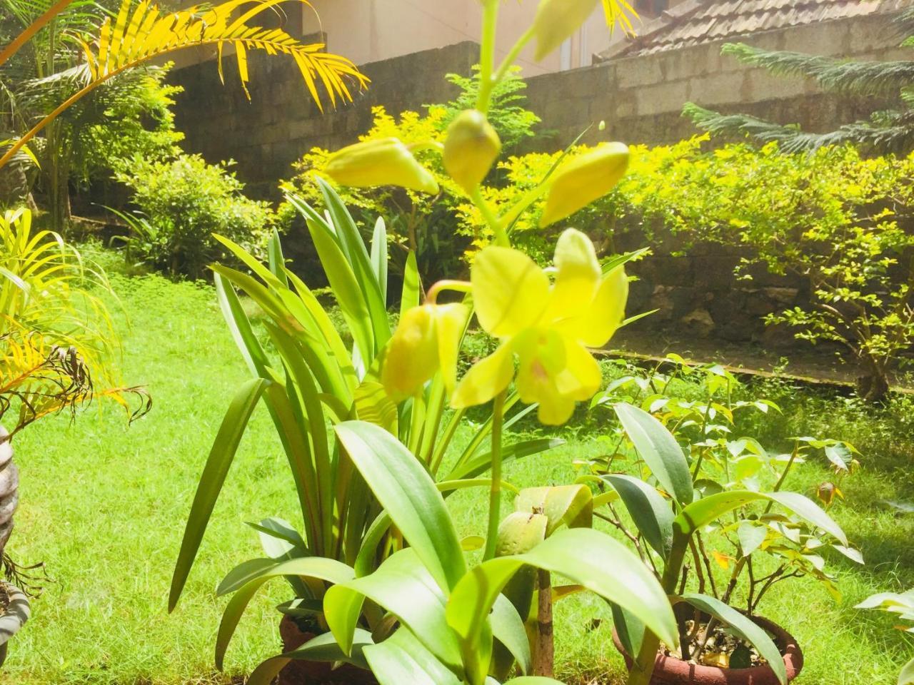 Ganesh House Homestay コーバラム エクステリア 写真
